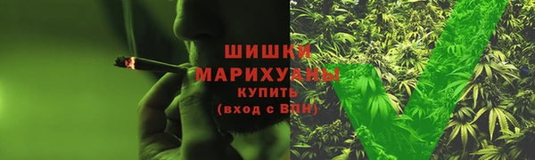 дурь Богданович